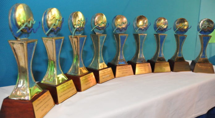 ¿Quién diseñó el trofeo del PEL?